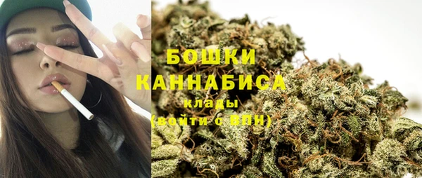 ALPHA PVP Белокуриха
